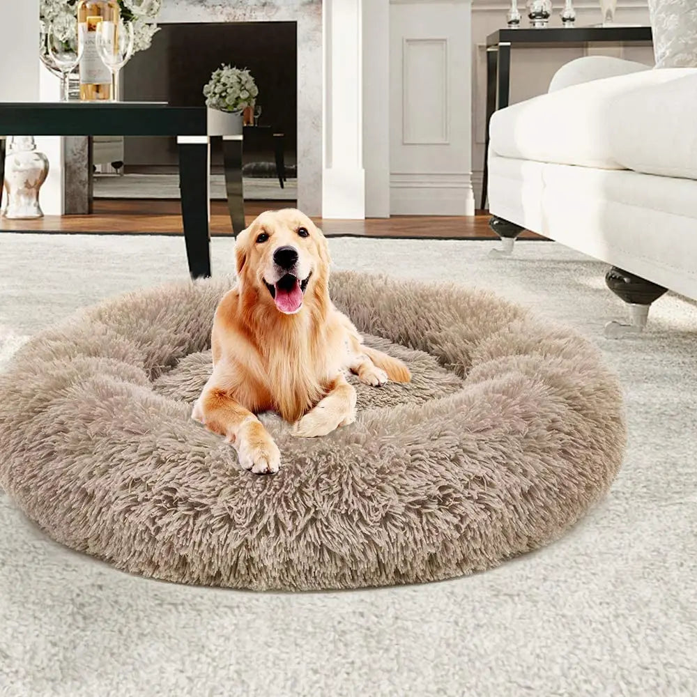 Calming & Anxiety Relief Dog Bed
