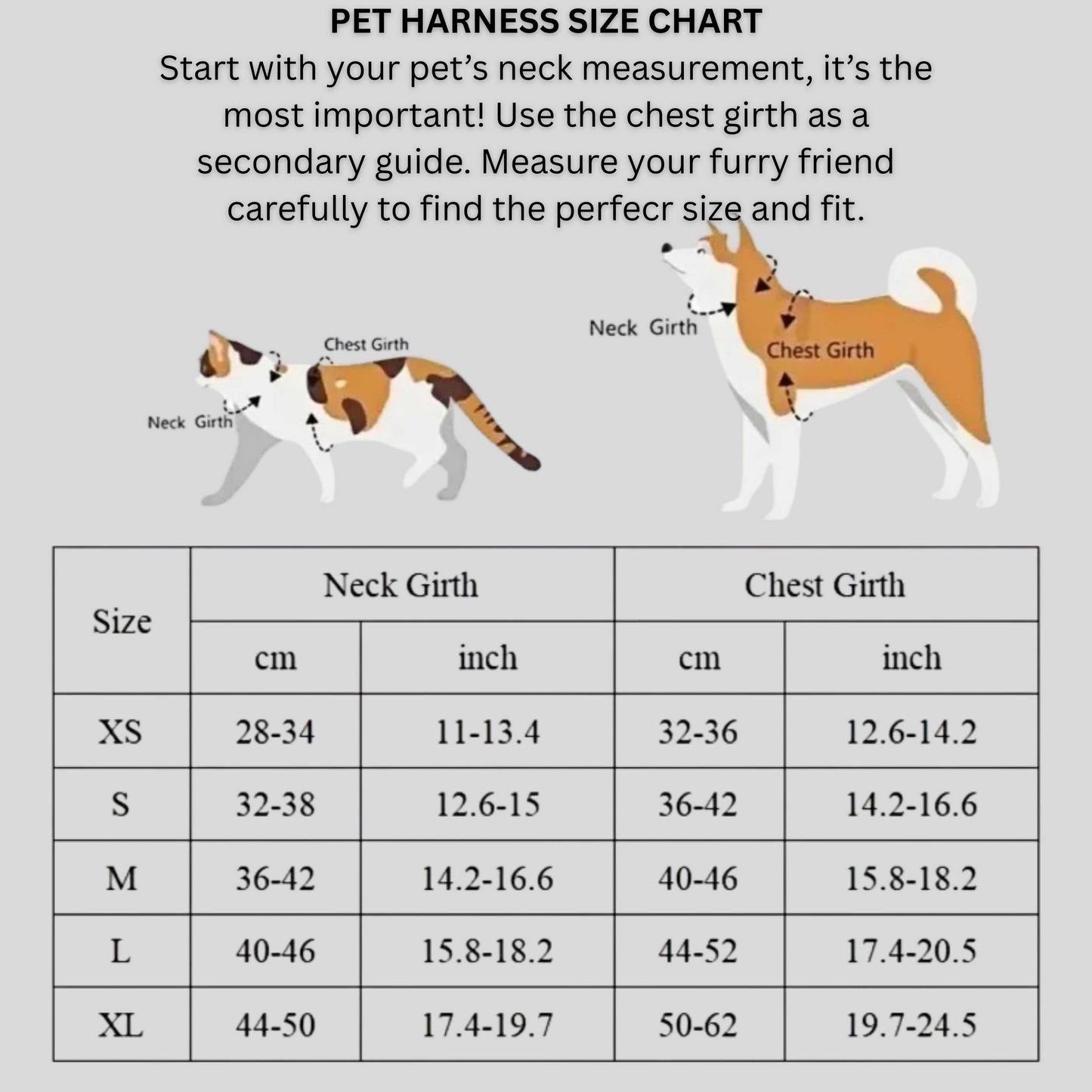 Dog Harness & Leash Set