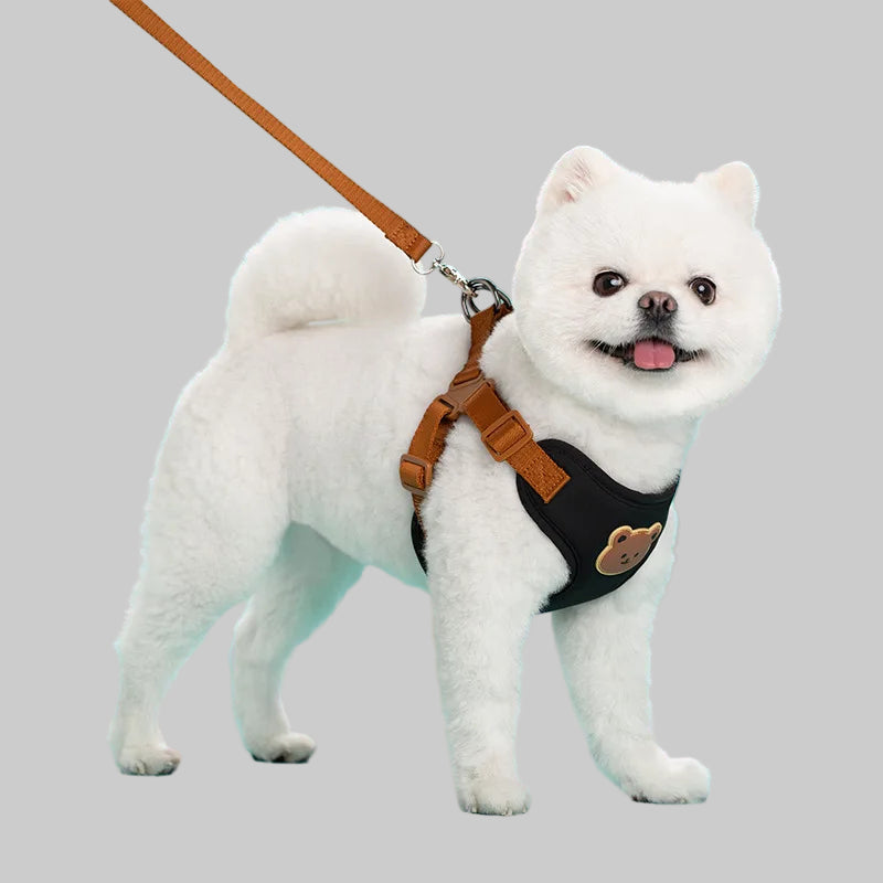 Dog Harness & Leash Set