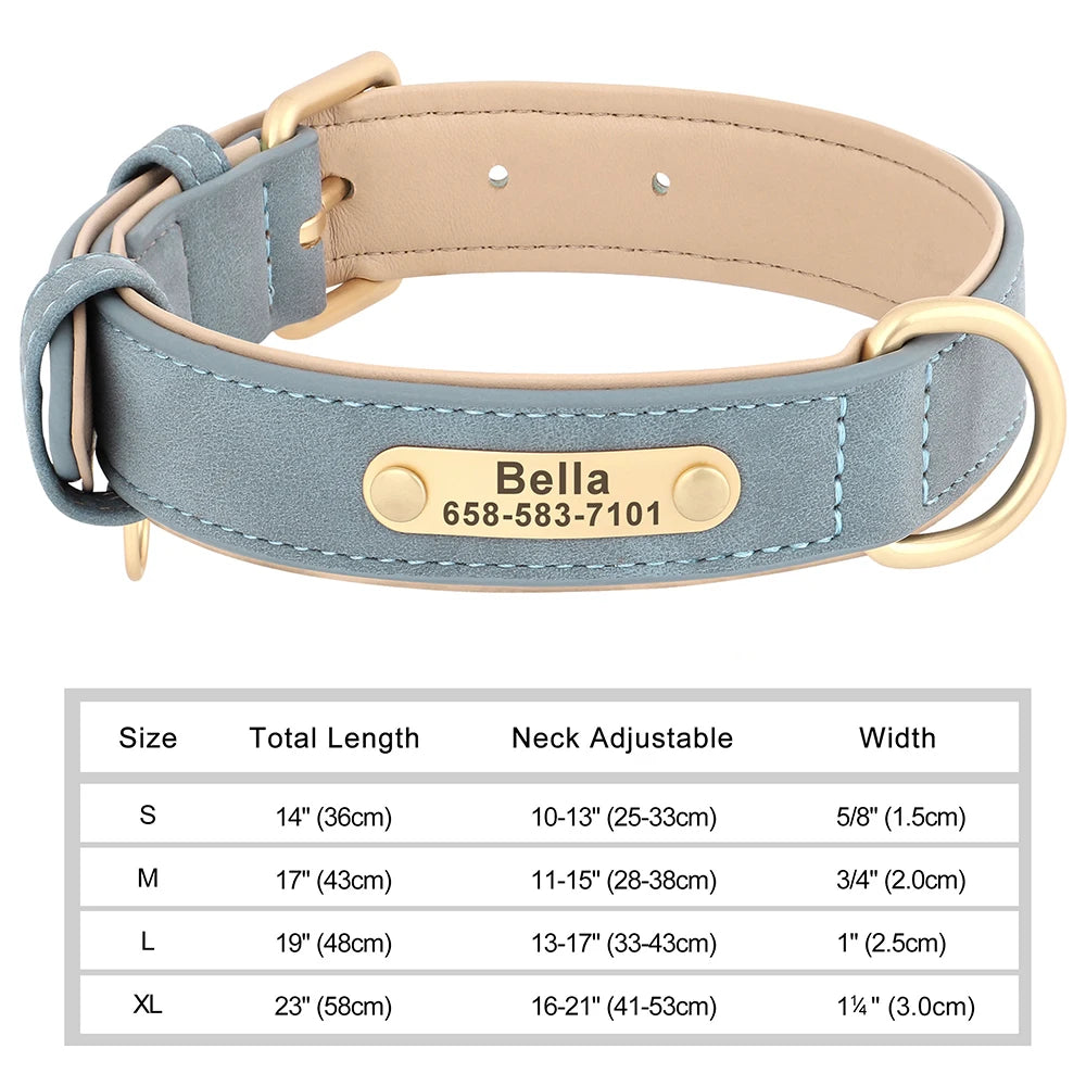 Elegant Personalized Dog Collar