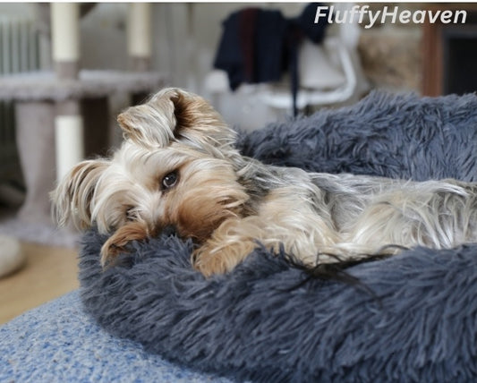 Calming & Anxiety Relief Dog Bed