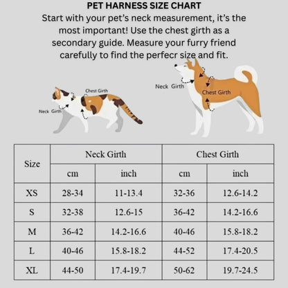 Dog Harness & Leash Set