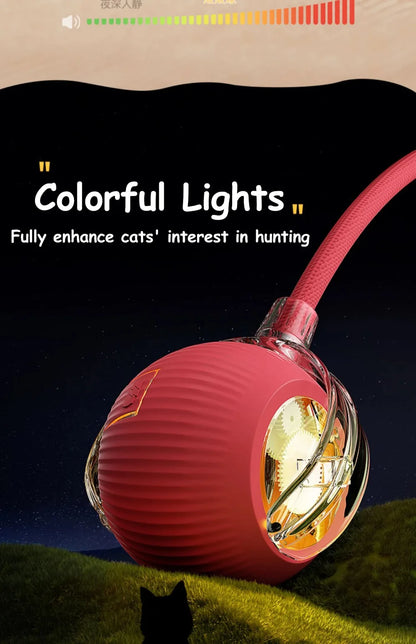 Cat Interactive Ball Toy