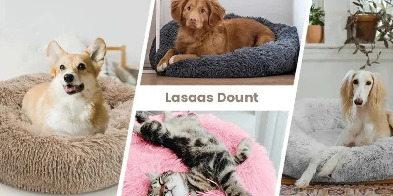 Calming & Anxiety-Relief Cat Bed