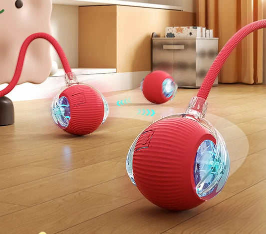 Cat Interactive Ball Toy