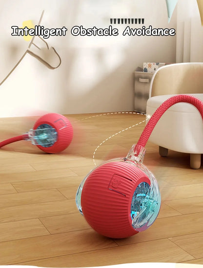Cat Interactive Ball Toy