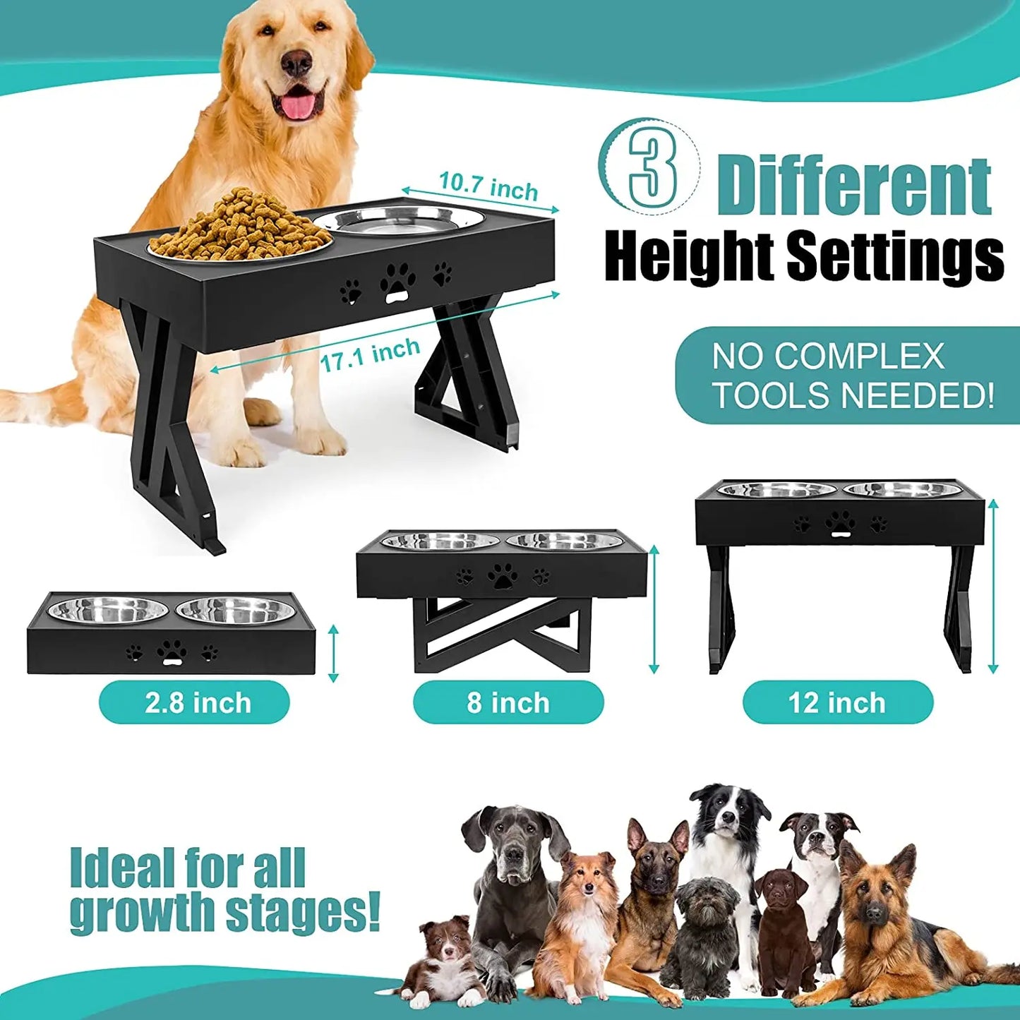 Adjustable Dog Bowls  Comfort, Health & Style in Every Meal