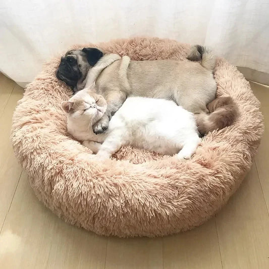 Calming & Anxiety-Relief Cat Bed