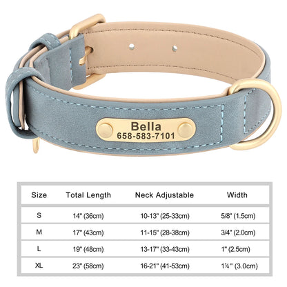 Elegant Personalized Dog Collar
